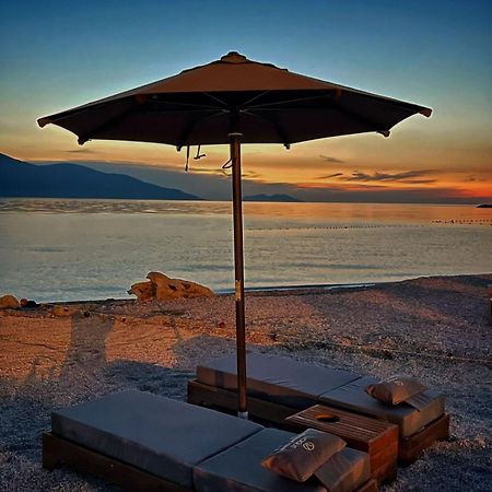 Vogue Boutique Hotel Vlorë Exteriör bild